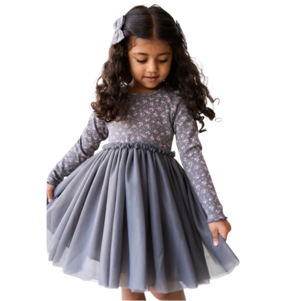 Jamie Kay Anna Tulle Floral Long Sleeve Dress Rosalie Lava Gray Size 2YR